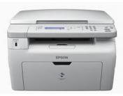 EPSON MX