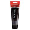 Amsterdam Pintura Acrílica Pardo Van Dick 120 ml