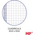 Caderno Espiral Cervantes Capa Plástica de 80 Folhas 90g