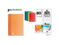 Caderno Espiral Plástico Fº 80 Folhas 90G