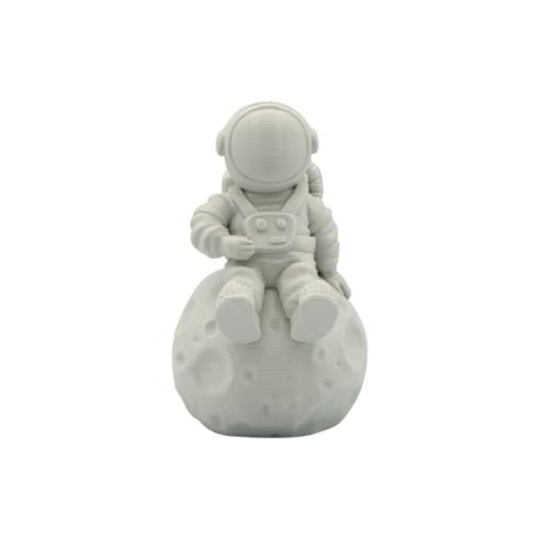 Filamento 3D - PLA - Cor: Cinza - 1,75 mm / 2,5 kg