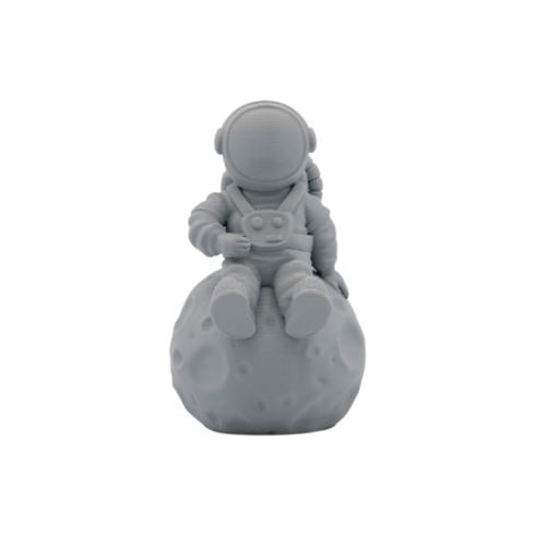 Filamento 3D - PLA MATTE - Cor: Cinza Escuro - 1,75 mm / 1 kg