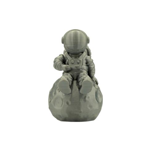 Filamento 3D - PLA SILK - Cor: Prateado - 1,75 mm / 1 kg