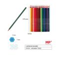 Lápis de Cor de Madeira Plascolor 36u