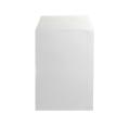 LIDERPAPER ENVELOPES CAIXA 250 UNIDADE 162X229 BRANCO 90 GR
