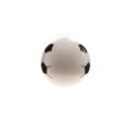 Bola Inflável "Wembley Ball"